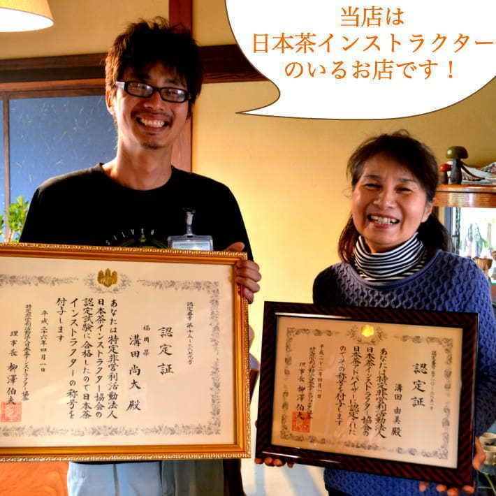 新茶 2026 八女茶 お茶 緑茶 煎茶 茶葉 深蒸し茶 日本茶 カテキン 500g