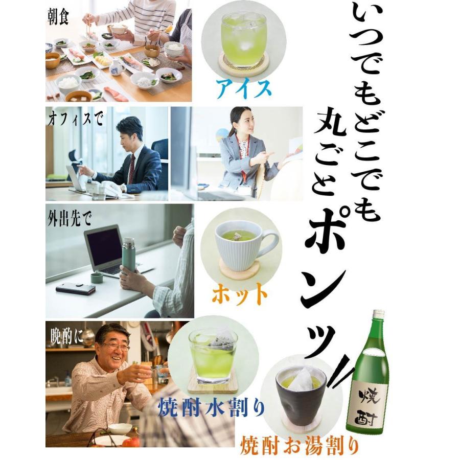 緑茶 お茶 日本茶 国産 茶葉 抹茶 ティーバッグ カテキン 業務用 水出し 大容量 鹿児島 インスタント ホット お年賀 ギフト プレゼント |  | 05