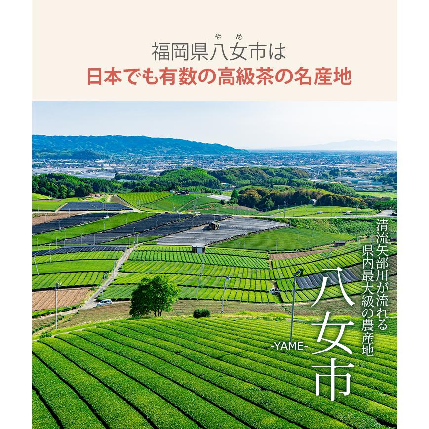 八女茶 蔵出し茶 秋新茶 お茶 水出し 緑茶 煎茶 茶葉 深蒸し茶