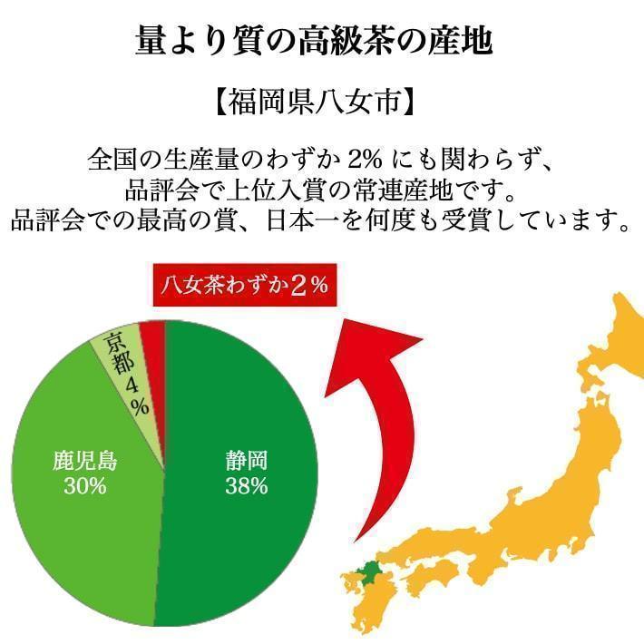 新茶 2024 予約 八女茶 お茶 緑茶 煎茶 茶葉 深蒸し茶 日本茶 カテキン 100g 豊の抄｜unoike｜05