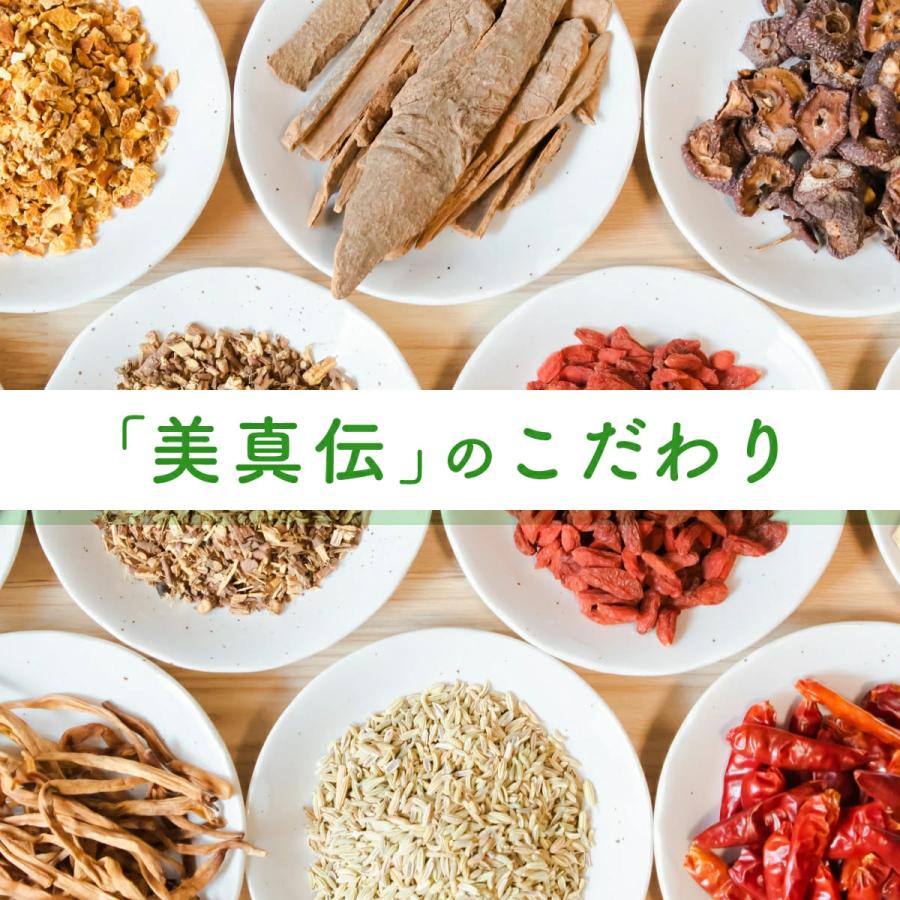 運龍堂 美真伝 びじんでん 酵素ドリンク 500mL／2本セット 送料