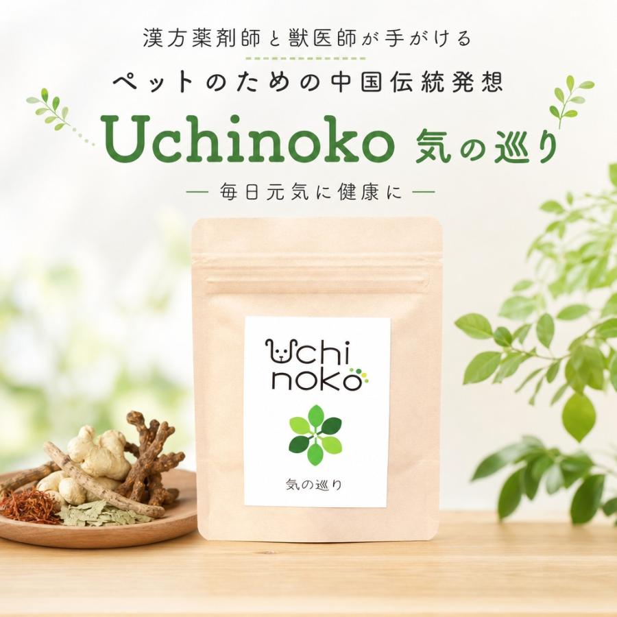 うちのこペット漢方 気 犬 猫 和漢サプリ 粉末30g 振りかけるだけ 獣