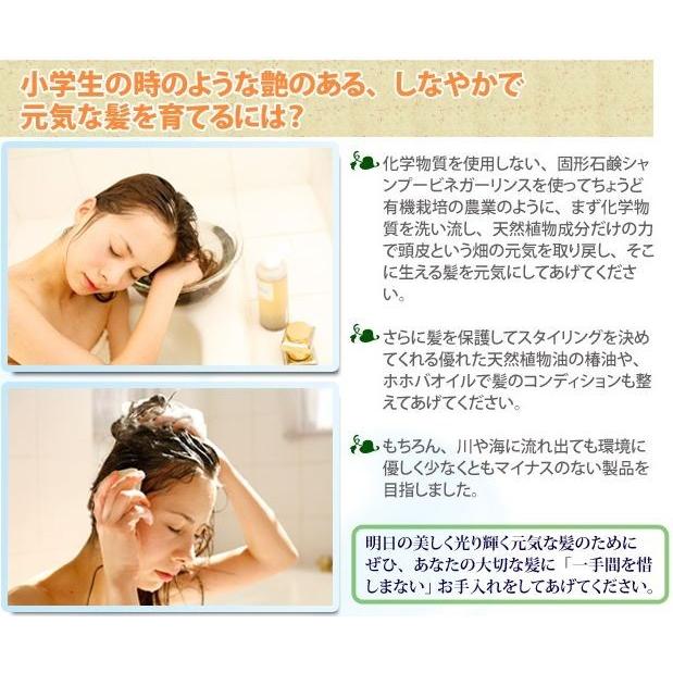 アンティアン無添加手作り石鹸シャンプー 黒みつ 丸型100g シャンプー人気no 1 洗顔石鹸品質の無添加手作り石鹸シャンプー Kuromitsu Circle100 手作り無添加石鹸アンティアン 通販 Yahoo ショッピング