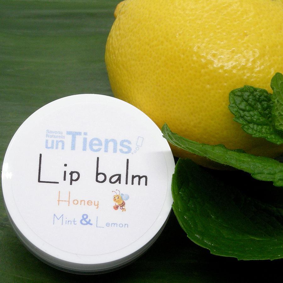 無添加手作りリップクリーム アンティアン リップバーム 10g 冬季限定商品 Ripcream 手作り無添加石鹸アンティアン 通販 Yahoo ショッピング