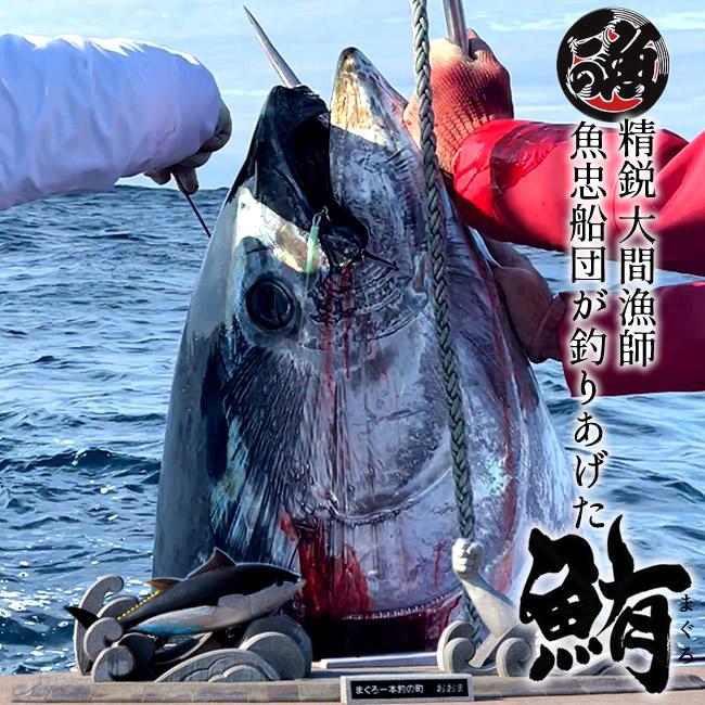 大間のまぐろ 極上霜降り カマトロ 大トロ200g×2柵 |青森県大間