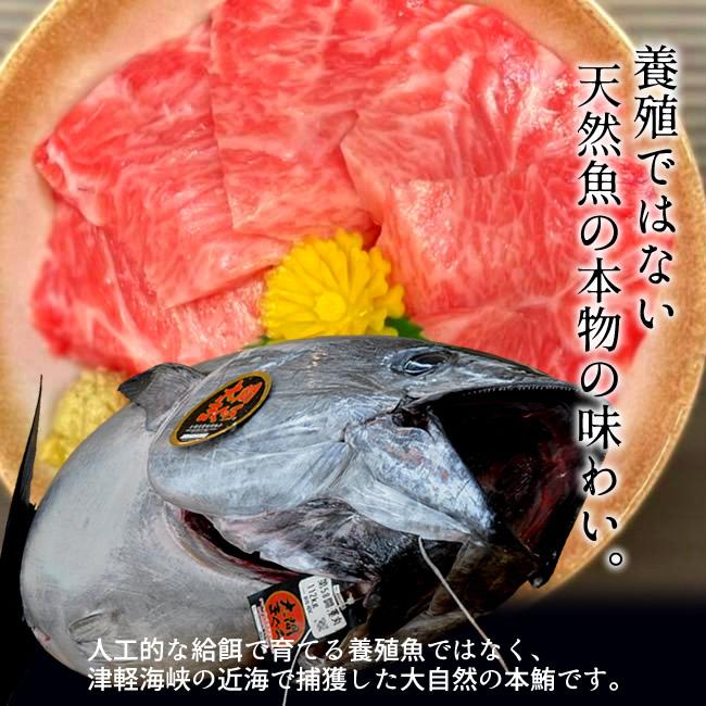 大間のまぐろ 極上霜降り カマトロ 大トロ200g×2柵 |青森県大間