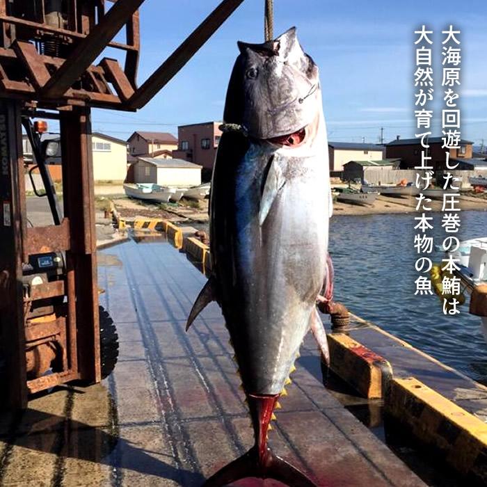 大間マグロ 切り落とし 訳あり 赤身 0g 2個 青森県大間産 大間のまぐろ 本マグロ 刺身 切り落し 切落し 切り身 鮪 お取り寄せ 通販 おすすめ ギフト Maguro Wa0g2 大間まぐろ直売所 魚忠 通販 Yahoo ショッピング