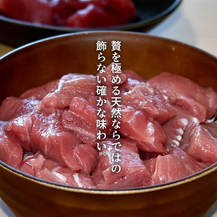 大間マグロ 切り落とし 訳あり［中トロ］200g×4個 |青森県大間産 大間
