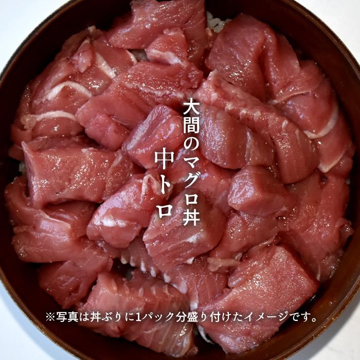 冷凍 青森県大間産天然本鮪中トロ切り落とし 500g×2パックセット 大間まぐろ切り落とし2パック・大トロ100gセット | 魚介類