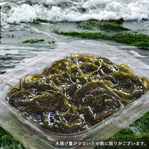 もずく 大間名産 120g×3P 幻のモズク 青森県大間産 天然もずく 荒波