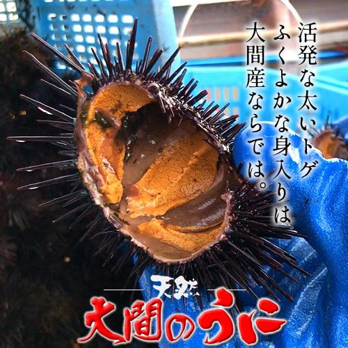 大間のうに［今季最終］国産 塩ウニ 60g×2本 大間漁師の塩うに 瓶詰め