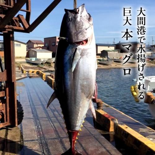 大間のまぐろ 中トロ0g 赤身0g 大間e 青森県大間産 本マグロ 刺身 サク切り身 鮪 お取り寄せ 通販 おすすめ ギフト Try Oma E 大間まぐろ直売所 魚忠 通販 Yahoo ショッピング