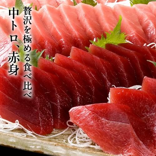 大間のまぐろ 中トロ200g、赤身200g【大間E】青森県大間産 本