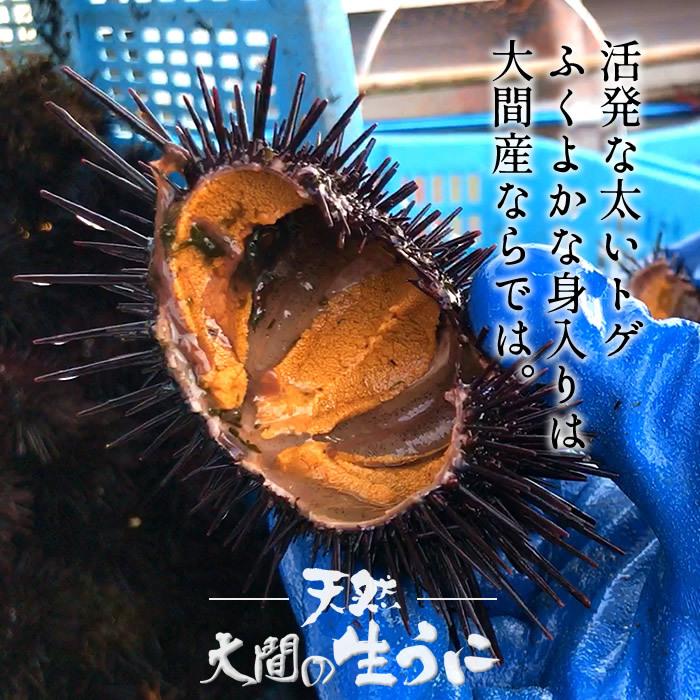 うに 生うに180g×2個 漁師の生ウニ 瓶詰め 大容量 ワンカップ 青森県産 津軽海峡 大間 旬鮮キタムラサキウニ ビンづめ［ 父の日 ギフト 2024］｜uo-chuu｜05