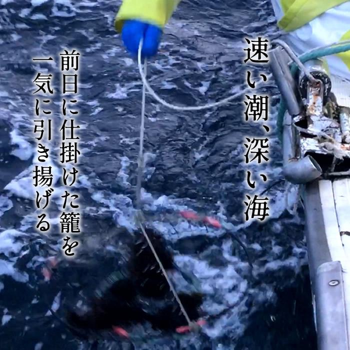 うに最終 国産極上 塩水パック 生うに90g×2個［新物］漁師の生
