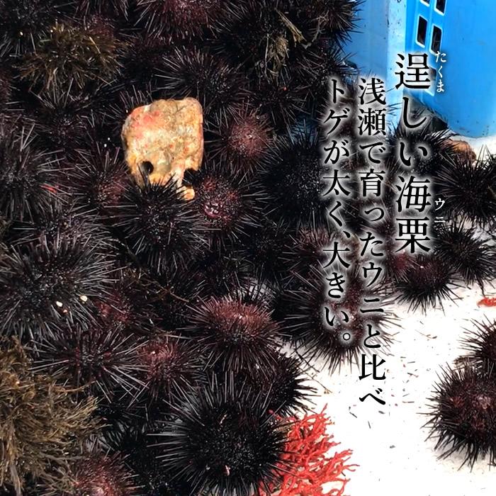 うに うに最終 国産極上 塩水パック 生うに90g×2個［新物］漁師の生