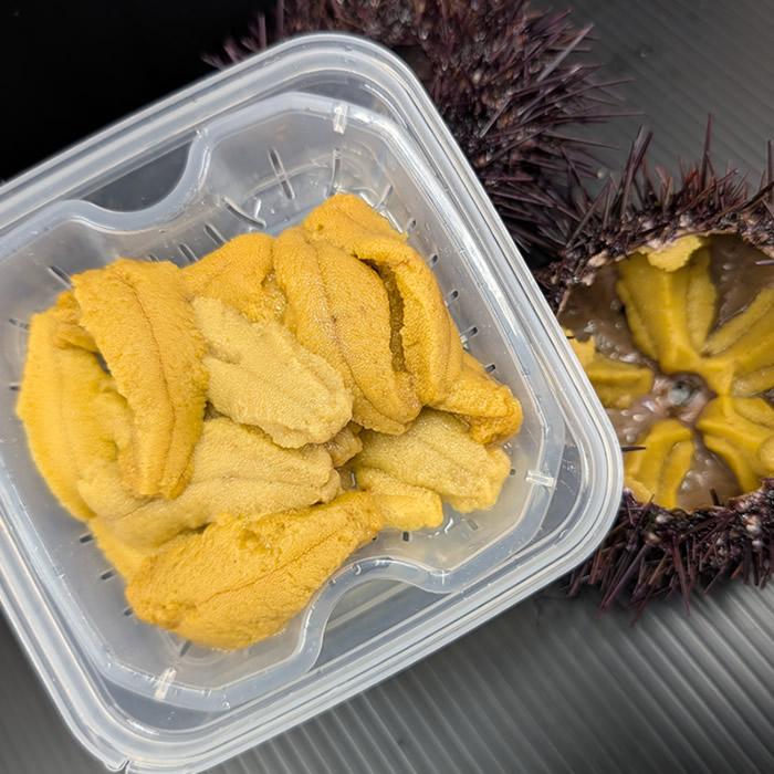 極上生うに＼新物／国産ウニ 塩水漬け140g(70g×2個) 最北漁師 魚忠の生