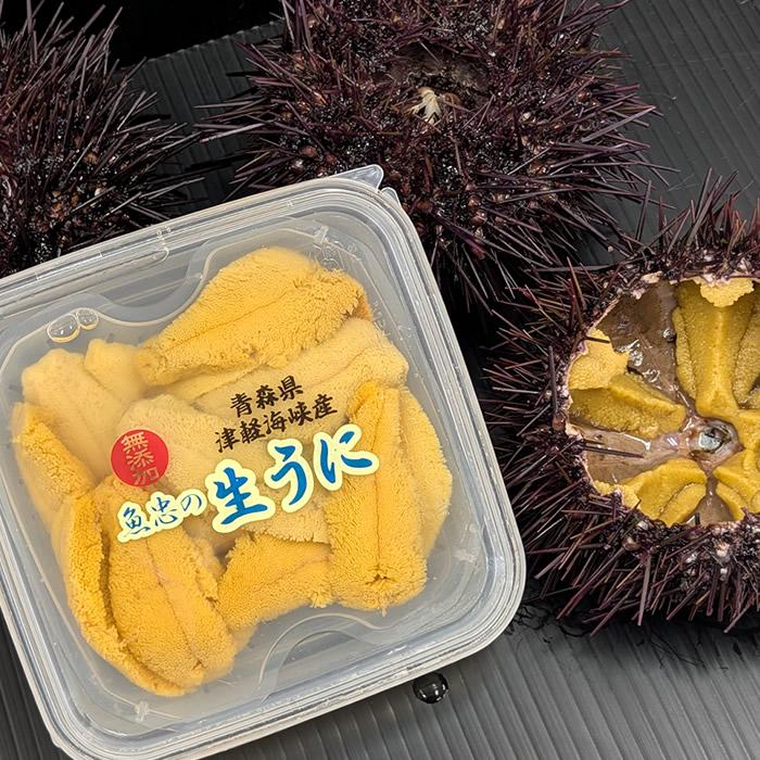 極上生うに 国産天然ウニ 塩水漬け210g(70g×3個) 最北漁師 魚忠の生