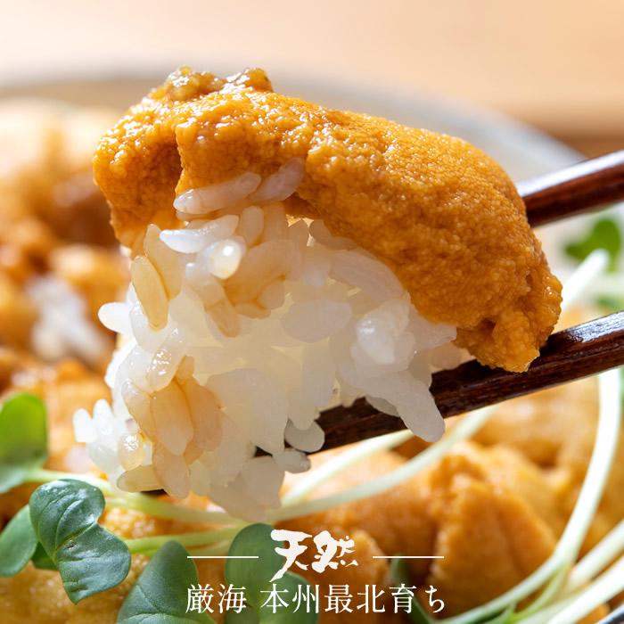うに最終 国産極上 塩水パック 生うに90g×3個［新物］漁師の生ウニ