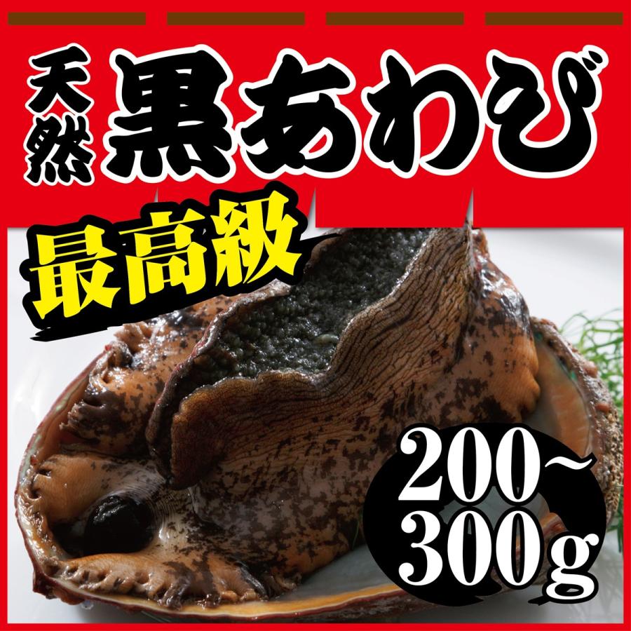 活　天然黒あわび　アワビ　プロが選んだ最高級アワビ　２００〜３００ｇ | 
