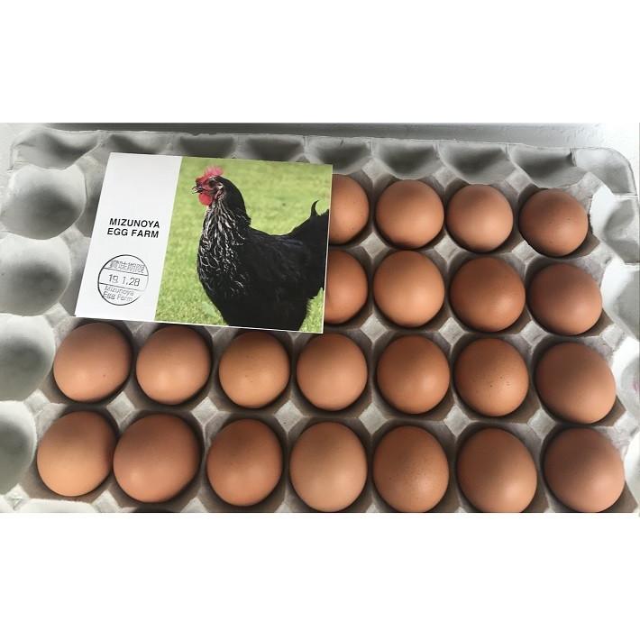 卵 黒鶏の卵 ｌサイズ 50個 黒鶏 たまご 鶏卵 赤玉 生卵 生たまご 卵かけご飯 お中元 お歳暮 027 ウオイチヤフー店 通販 Yahoo ショッピング