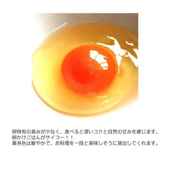 卵 黒鶏の卵 ｌサイズ 5kg 約70 75個 黒鶏 たまご 鶏卵 赤玉 生卵 生たまご 卵かけご飯 御中元 御歳暮 029 ウオイチヤフー店 通販 Yahoo ショッピング