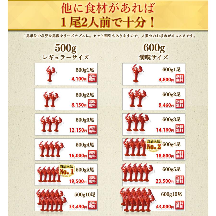 即納 活オマール海老 600g 2尾入 送料無料 Aynaelda Com