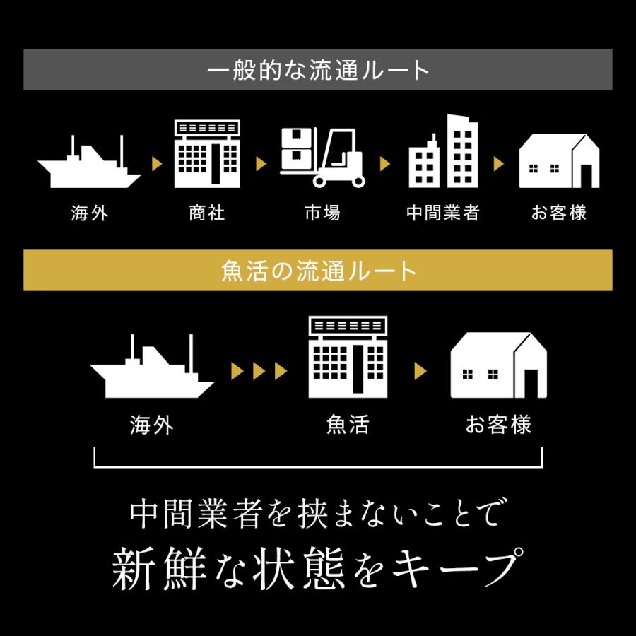 活オマール海老（600g）7尾入【送料無料】_8