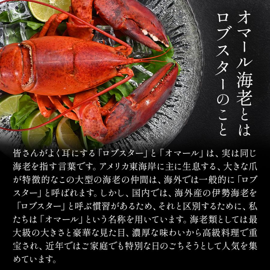 活オマール海老（600g）7尾入【送料無料】_11
