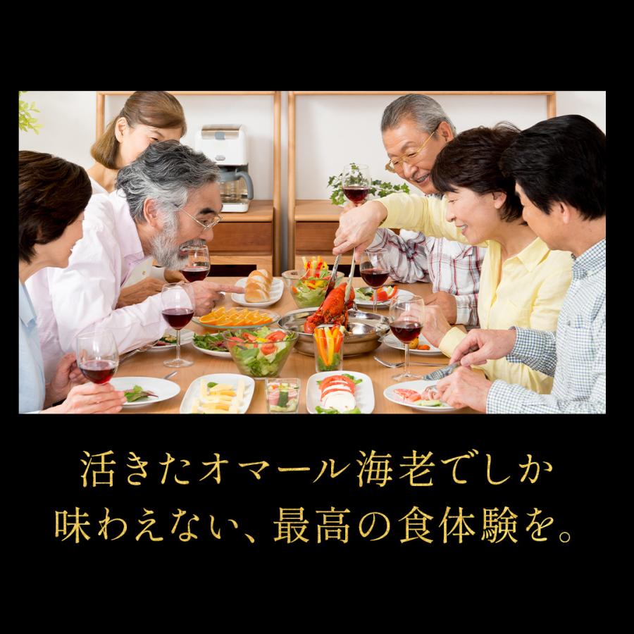 活オマール海老（600g）7尾入【送料無料】_12