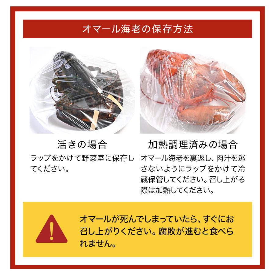 活オマール海老（600g）7尾入【送料無料】_16