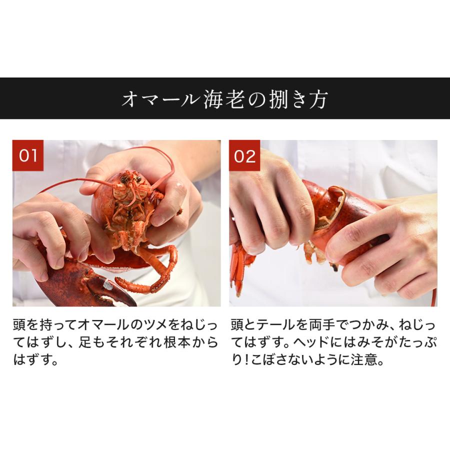 活オマール海老（600g）7尾入【送料無料】_17