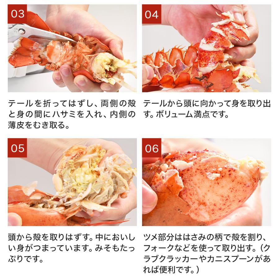 活オマール海老（600g）7尾入【送料無料】_18