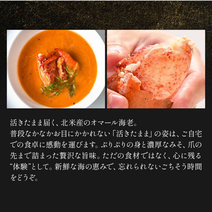 活オマール海老（600g）7尾入【送料無料】_2