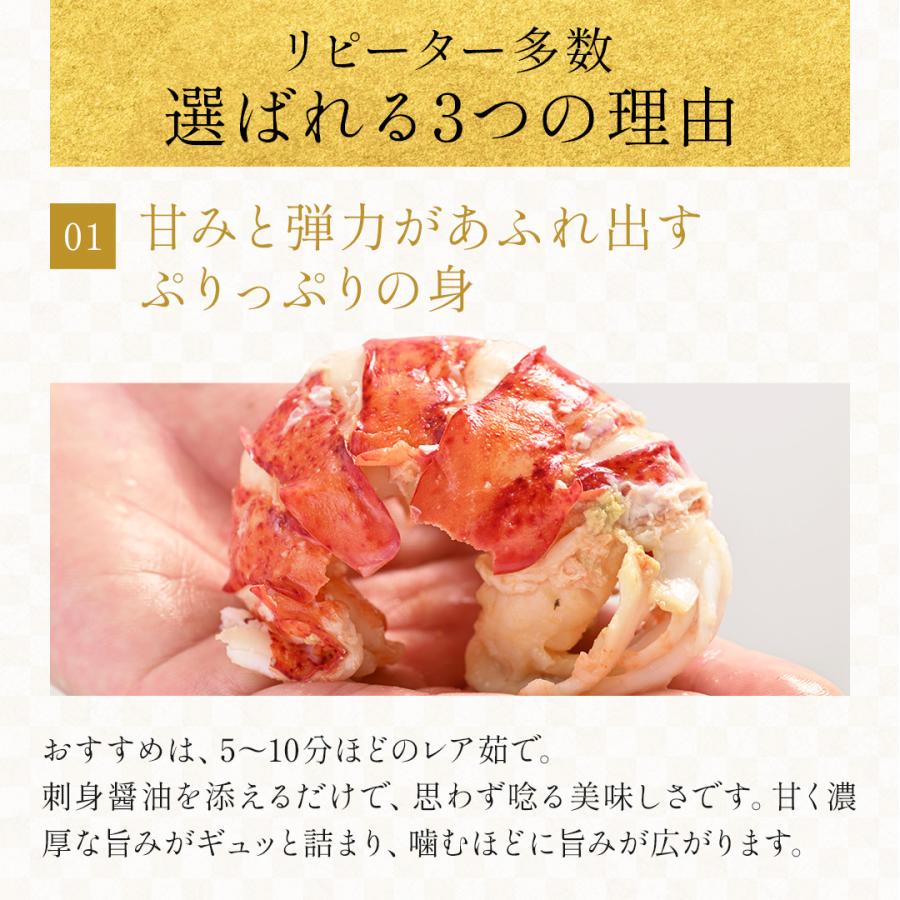 活オマール海老（600g）7尾入【送料無料】_3