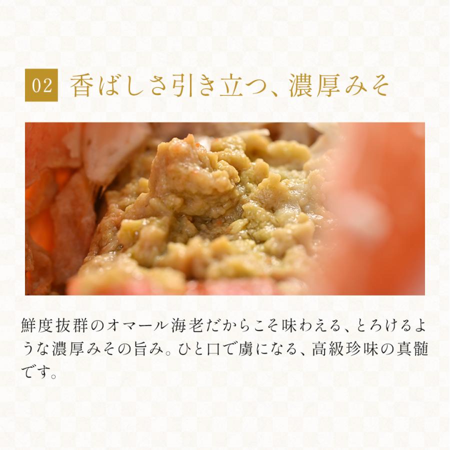 活オマール海老（600g）7尾入【送料無料】_4