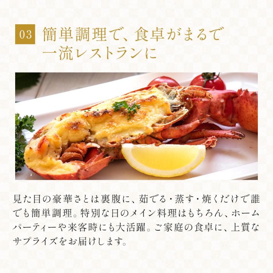 活オマール海老（600g）7尾入【送料無料】_5