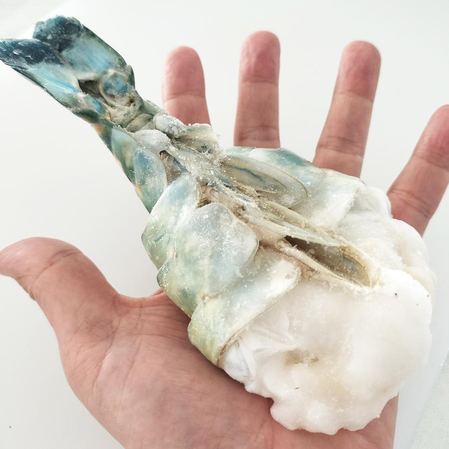 どすこい海老 454g (4尾入り) 【送料無料】バングラデシュ産オニ