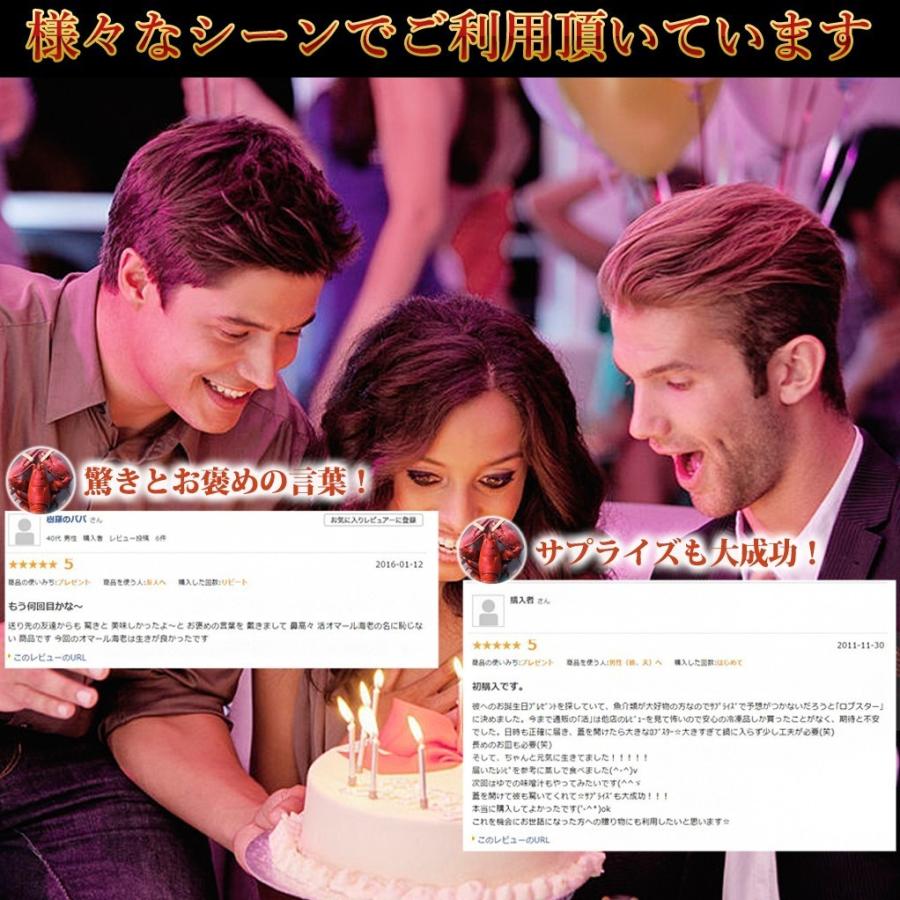 活オマール海老（500g）6尾入【送料無料】 