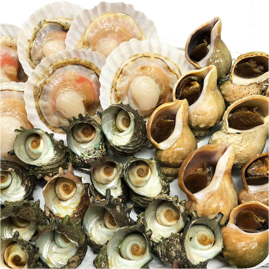 海鮮ｂｂｑセット 冷凍 ほたて片貝 青つぶ貝 さざえの3種類 送料無料 q バーベキュー Reito q 3set 活物専門商社 魚活 Yahoo 店 通販 Yahoo ショッピング