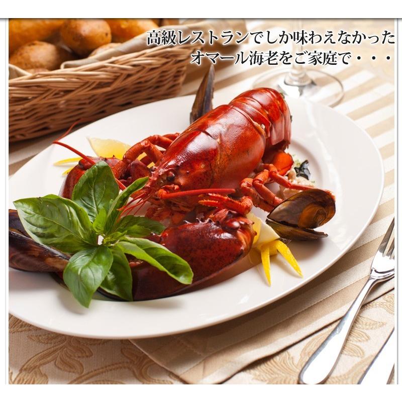 活オマール海老 JUMBO1kg前後【送料無料】 : 活物専門商社 魚活 Yahoo