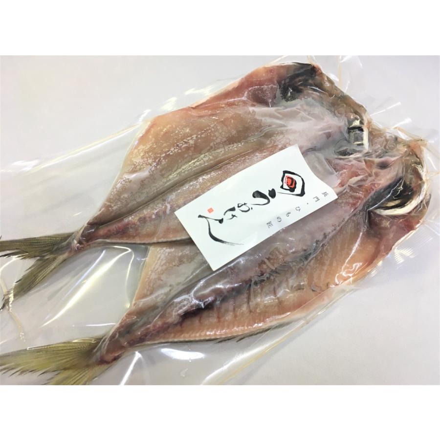 お試し】山口県産 潮返し製法 瀬付きあじ開き 2尾×1P〈計2尾