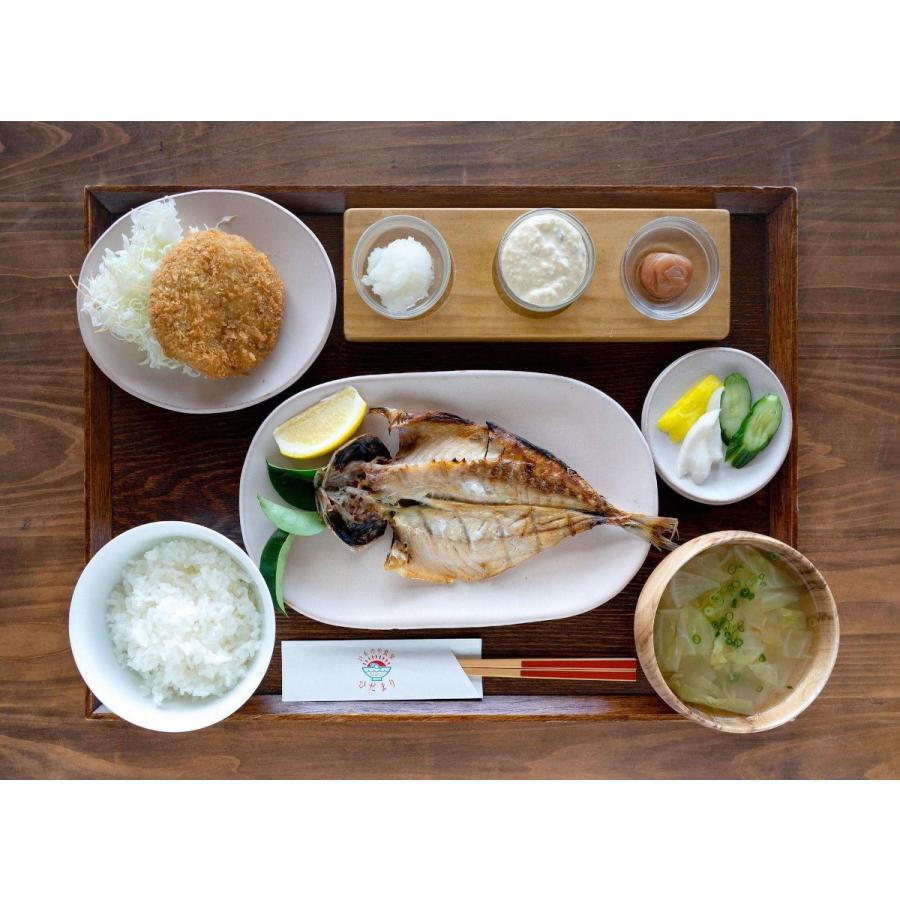 あじあ号　くびき野さま専用 あじあ号 くびき野さま専用 あじあ号 くびき野さま専用
