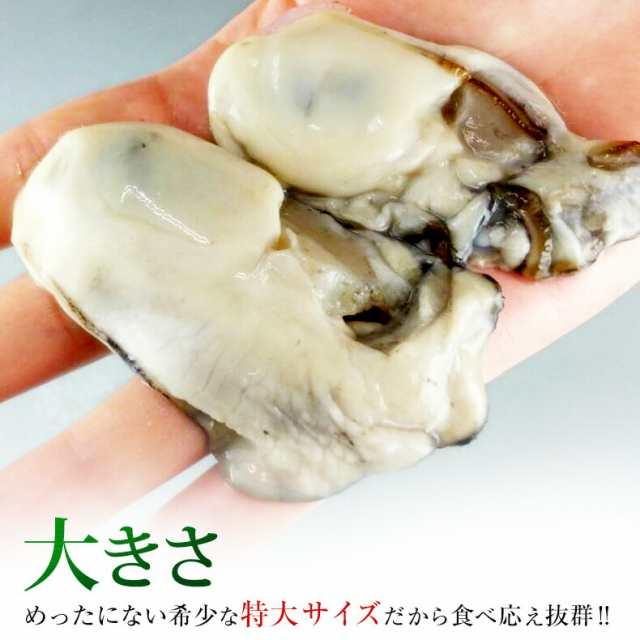 カキ 牡蠣 広島県産かき むき身 大粒 特大Lサイズ 1kg 冷凍 お取り寄せ｜uoko-ec｜02