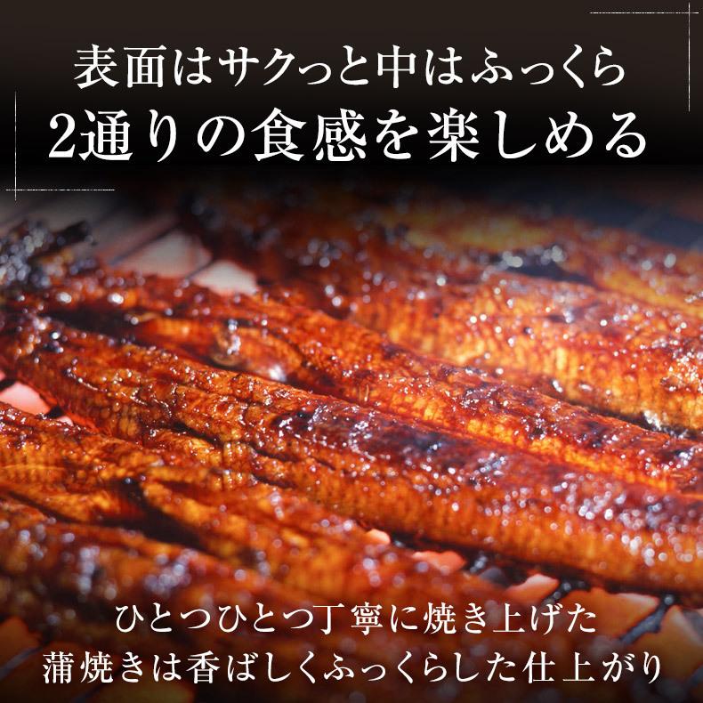 うなぎ 蒲焼き 国産 愛知県三河一色産 うなぎ蒲焼 ギフト 長焼き 140g×2尾セット :2015110:魚耕ヤフー店 - 通販 - Yahoo!ショッピング うなぎ 蒲焼き 国産 愛知県三河一色産 うなぎ蒲焼 ギフト 長焼き 140g×2尾セット :2015110:魚耕ヤフー店 - 通販 - Yahoo!ショッピング