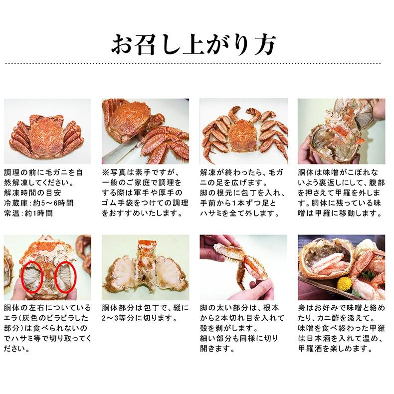 毛ガニ 特大 北海道 オホーツク産一級品 1kg 2尾×500g 最高級3特グレード堅蟹 ボイル 毛がに 毛蟹 ギフト かに カニ 蟹 :2015140:魚耕ヤフー店 - 通販 - Yahoo!ショッピング 毛ガニ 特大 北海道 オホーツク産一級品 1kg 2尾×500g 最高級3特グレード堅蟹 ボイル 毛がに 毛蟹 ギフト かに カニ 蟹 :2015140:魚耕ヤフー店 - 通販 - Yahoo!ショッピング
