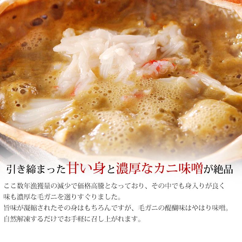 父の日 2026 毛ガニ 北海道産 一級品 720g 360g×2尾 最高級3特グレード
