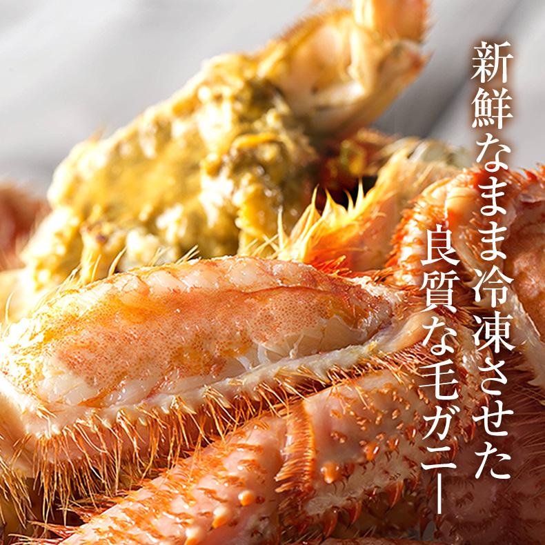 父の日 2026 毛ガニ 北海道産 一級品 720g 360g×2尾 最高級3特グレード