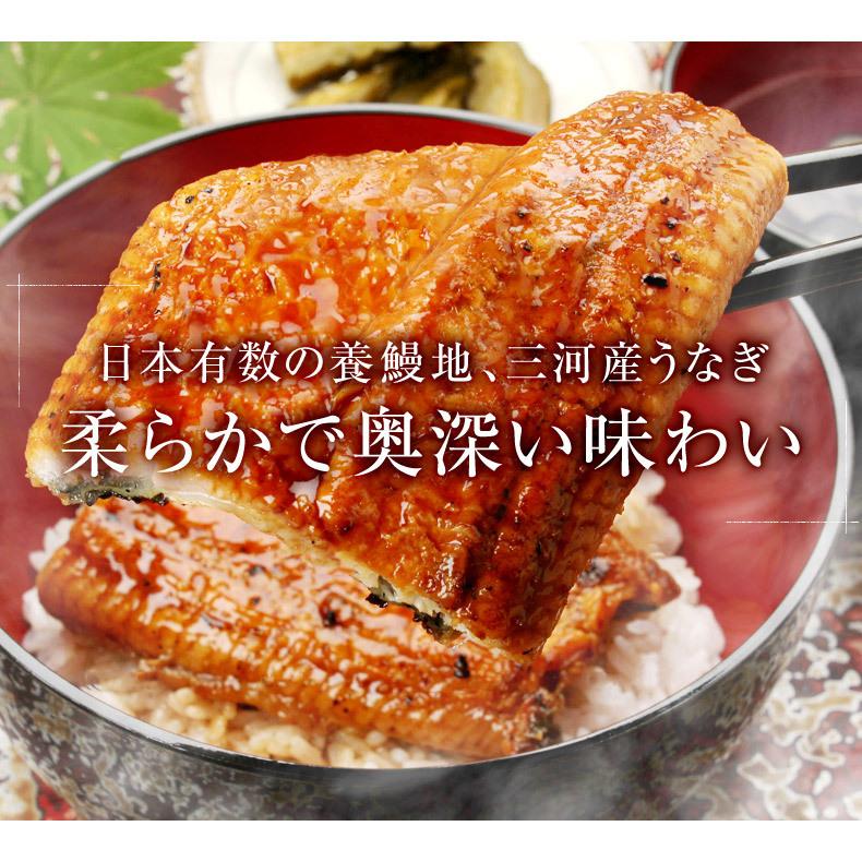 うなぎ蒲焼 国産 愛知県三河一色産 うなぎ 蒲焼き 長焼き 140g ウナギ