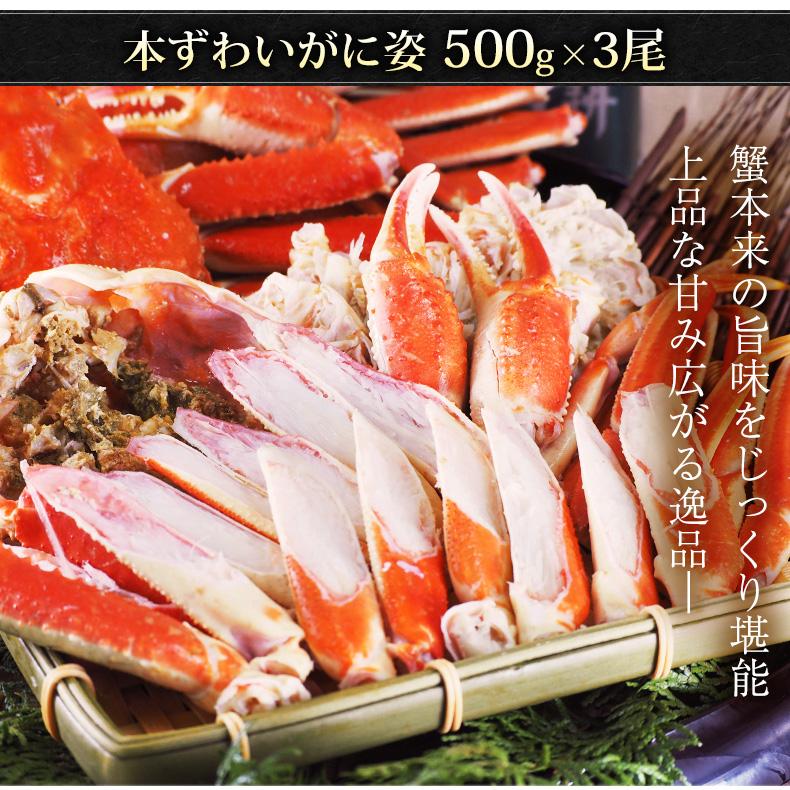 ズワイガニ 姿 ボイル 1.5kg 500g×3尾 冷凍 ずわいがに カニ か ズワイガニ 姿 ボイル 1.5kg 500g×3尾 冷凍 ずわいがに カニ か